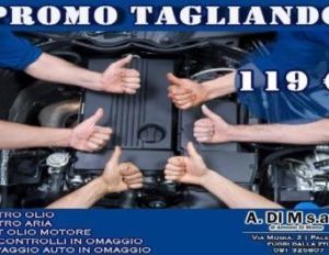 Tagliando Ford